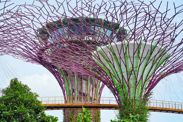 Letni Dzień Singapore Marina Bay Supertree Abstrakcyjnymi Kolorowymi Drzewami Pod — Zdjęcie stockowe
