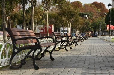 Güneşli bir günde parktaki banklar