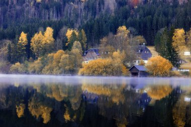 Sonbaharda renkli ormanlarla çevrili bir göl manzarası. Avusturya