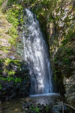 Ormandaki şelalenin güzel manzarası