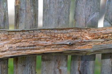 Ahşap çit dokusu arka planının yakın plan çekimi.