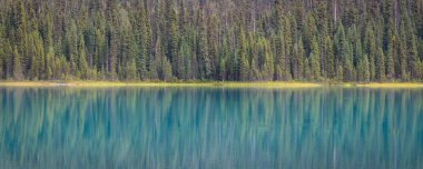 Yoho Milli Parkı 'ndaki bir göldeki ağaçların yansımaları.