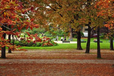Sonbaharda Fransa, Paris 'te sakin bir parkın güzel bir görüntüsü.