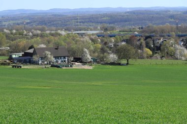 Güneşli bir sabahta kırsal bir alanda