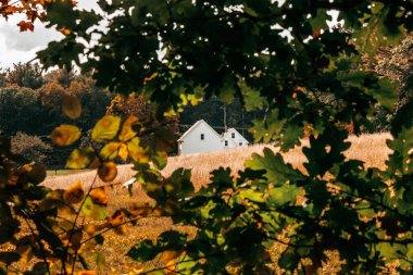 Robert Frost Çiftliği, New Hampshire 'daki ağaçların arkasında bir ev.