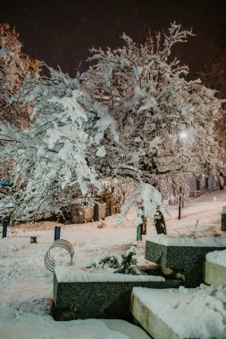 Geceleri karla kaplı bir parkın dikey görüntüsü.