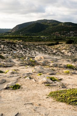 Sardunya 'daki yeşil tepelerin arka planında kayalık Chia plajının dikey görüntüsü.
