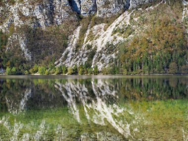 Slovenya, Bohinjsko 'daki Triglav Ulusal Parkı' ndaki göldeki kaya yansımasının güzel bir görüntüsü.