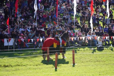 Avustralya 'daki Blacktown Ortaçağ Fayre' de mızrak dövüşü yapan bir adam.