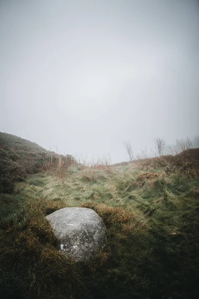 Vertikální Záběr Travnatého Kopce Rostrevoru Severní Irsko — Stock fotografie