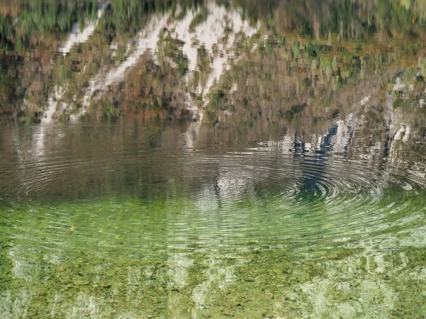 森に囲まれた湖の美しい写真 Bohinj湖 — ストック写真