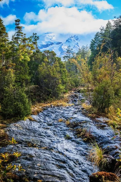 Hisnande Utsikt Över Rinnande Flod Mitt Grön Skog Mot Snöig — Stockfoto