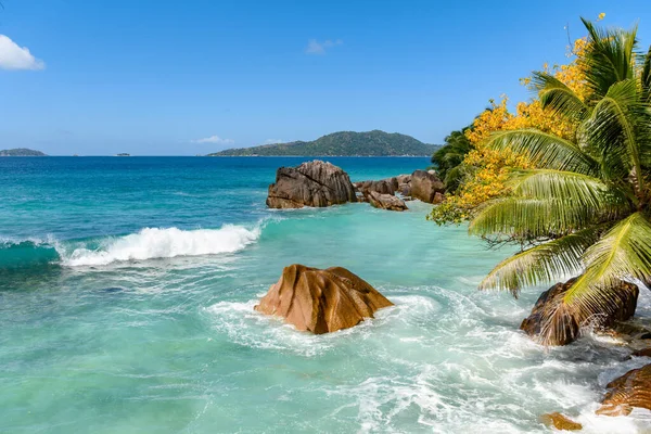 Fantastisk Natur Paradisets Tropiska Med Gröna Palmer Och Granitklippformationer Fantastiskt — Stockfoto