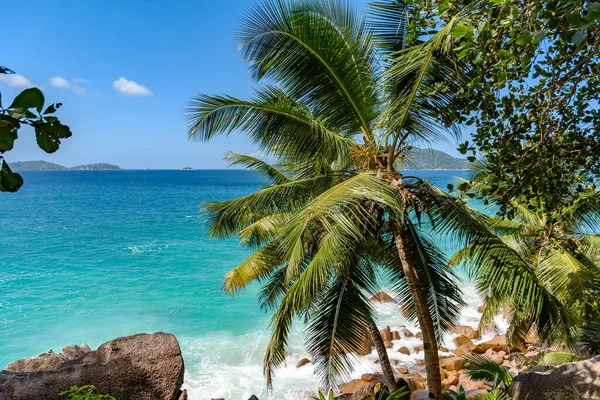Superbe Nature Sur Une Île Tropicale Paradisiaque Avec Des Palmiers — Photo