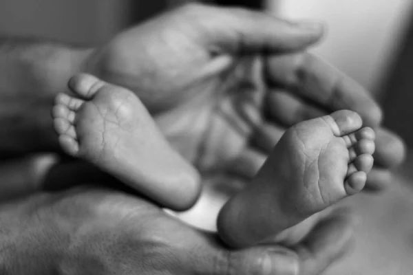 부모의 태어난 의발을 — 스톡 사진