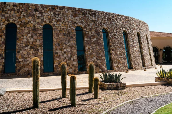Kamenná Budova Kaktusy Rostoucími Dvoře — Stock fotografie