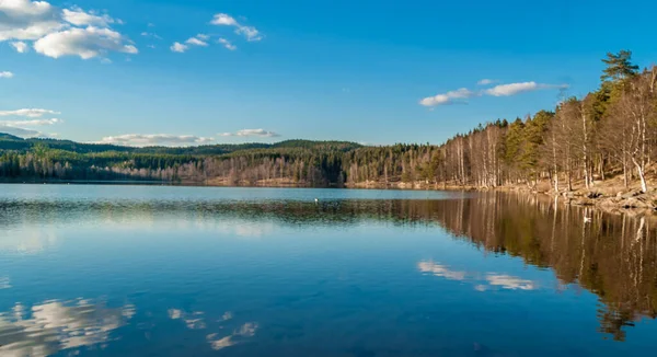 Panoramic Shot Blue Big Lake Surrounded Infinite Forest — Stock Photo, Image