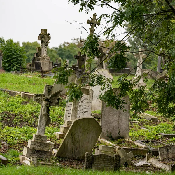 Uma Vista Cemitério Vitoriano Durante Verão Londres Reino Unido — Fotografia de Stock