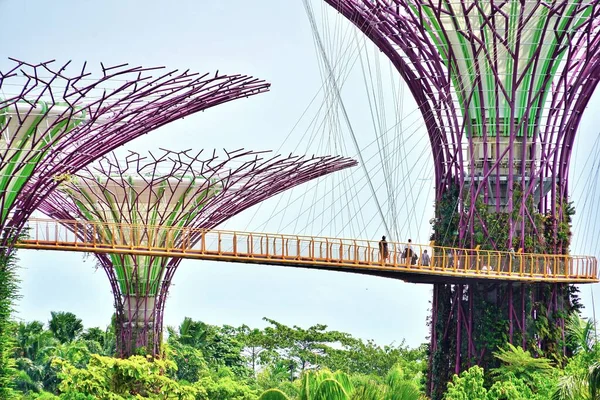 Aerial Shot Colorful Marina Bay Supertree Grove Singapore Clear Blue — Stock Photo, Image