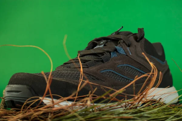 Sebuah Gambar Closeup Sepatu Olahraga Latar Belakang Hijau — Stok Foto