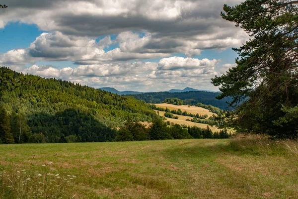 Malowniczy Widok Łąkę Przeciwko Górom Pokrytym Zielonymi Lasami Pod Pochmurnym — Zdjęcie stockowe