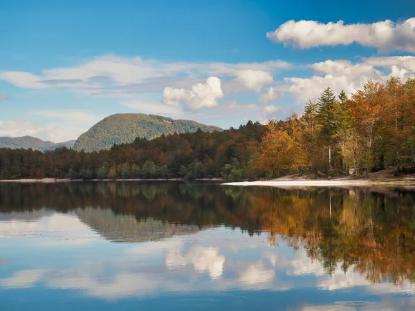 Uma Vista Natural Lago Bohinj Eslovênia Com Reflexo Árvores Montanhas — Fotografia de Stock