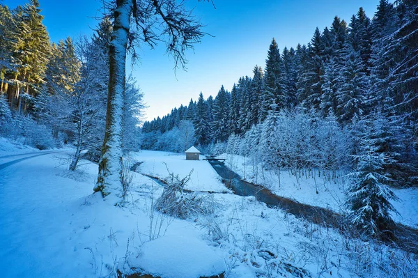 Hermoso Plano Paisaje Nevado Embalse Del Goldistal Bosque Turingia Alemania —  Fotos de Stock