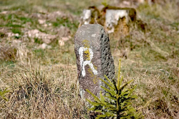 Closeup Shot Letter Stone — Stock Photo, Image