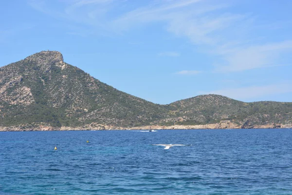 Una Hermosa Vista Diurna Una Gaviota Volando Sobre Mar Mallorca — Foto de Stock