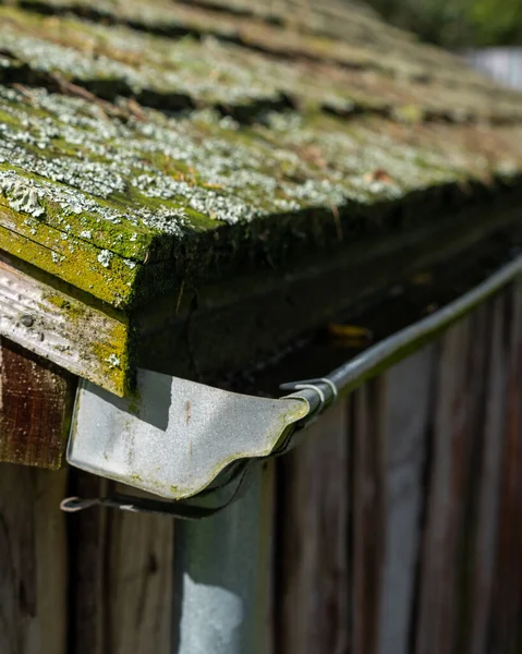 Eine Selektive Fokusaufnahme Von Einem Bemoosten Holzdach Eines Ferienhauses Rai — Stockfoto