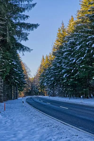 Ένα Κάθετο Πλάνο Ενός Δρόμου Χιονισμένα Πεύκα Μια Ηλιόλουστη Χειμωνιάτικη — Φωτογραφία Αρχείου