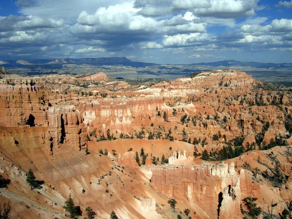 Una Vista Panorámica Las Montañas Rocosas Cubiertas Pinos Verdes Día —  Fotos de Stock