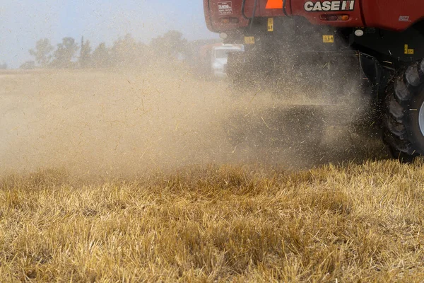 Eine Landwirtschaftliche Erntemaschine Erntet Auf Dem Weizenfeld — Stockfoto