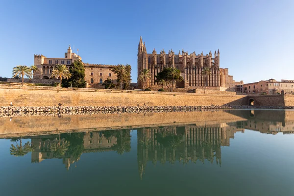 View Mallorca Cathedral Its Reflection Water Sunny Day Catedral Basilica — Stock Photo, Image