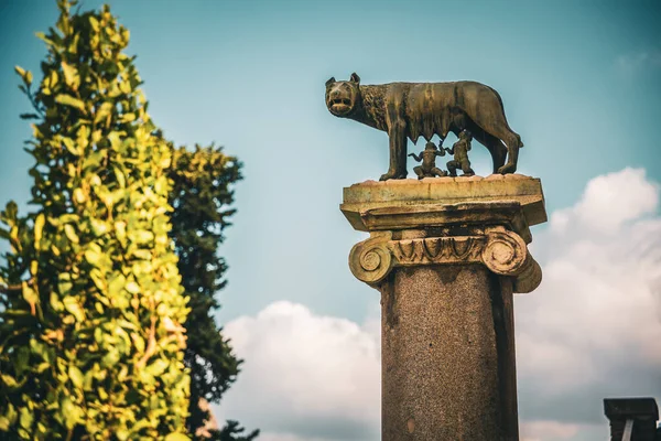 Gros Plan Sculpture Loup Capitole Rome Italie — Photo