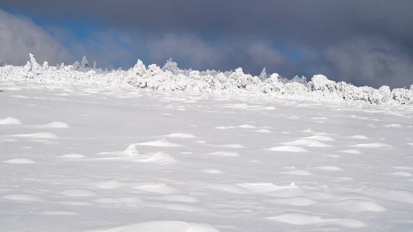 Krásný Výhled Černý Les Pokrytý Sněhem — Stock fotografie