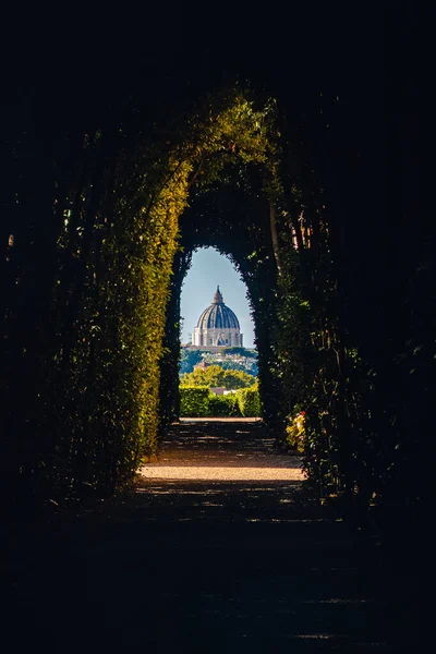 緑の茂みのトンネルに対する古い大聖堂の写真 — ストック写真