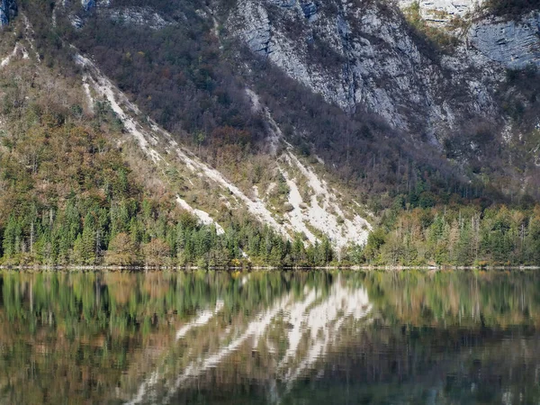 Přirozený Pohled Jezero Bohinj Slovinsku Odrazem Stromů Hor Povrchu — Stock fotografie