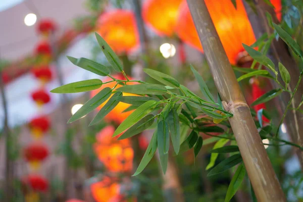 Bulanık Kırmızı Fenerlere Karşı Yapay Bambu Bitkilerinin Seçici Odağı — Stok fotoğraf