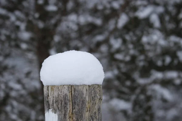 Tiro Perto Pedaço Madeira Com Uma Pilha Neve Sobre Ele — Fotografia de Stock