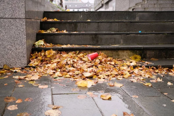 Folhas Caíram Chão Uma Rua — Fotografia de Stock