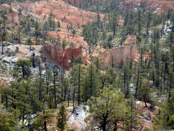 Una Vista Panorámica Las Montañas Rocosas Cubiertas Pinos Verdes Día —  Fotos de Stock