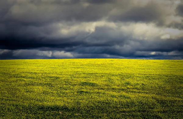 Μια Γραφική Θέα Ενός Πράσινου Τοπίου Φόντο Τον Ζοφερό Ουρανό — Φωτογραφία Αρχείου
