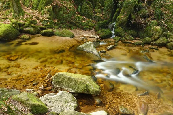 A beautiful small stream with an orange color flows through the Black Forest, Germany. Hiking at touristic nature and landscape routes and paths.