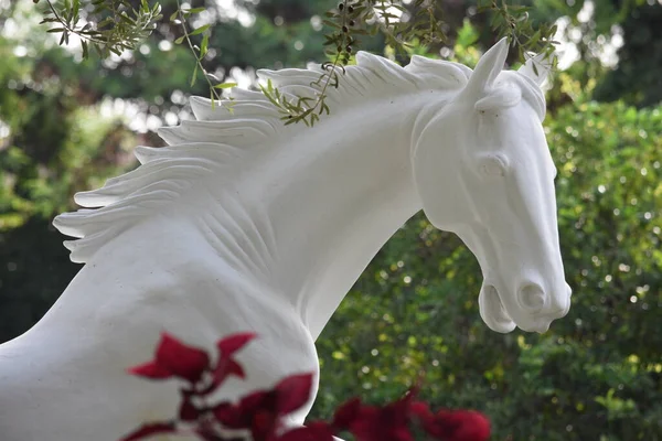 Een Dichtbij Shot Van Een Wit Paard Standbeeld — Stockfoto