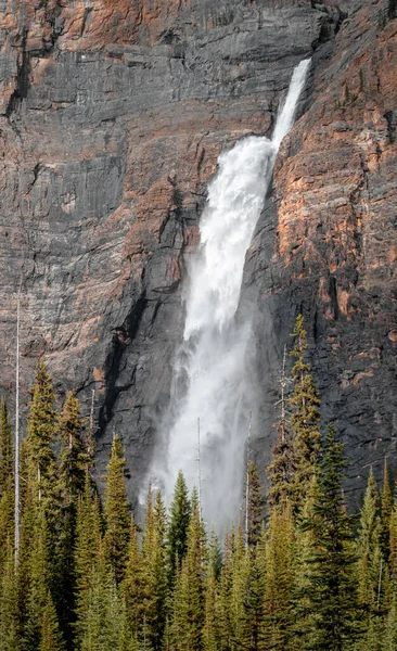 Uma Cachoeira Cênica Nas Montanhas Rochosas Canadá — Fotografia de Stock