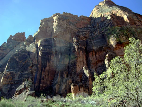 Scenic View Green Pine Trees Rocky Mountains Zion National Park — Stock Photo, Image