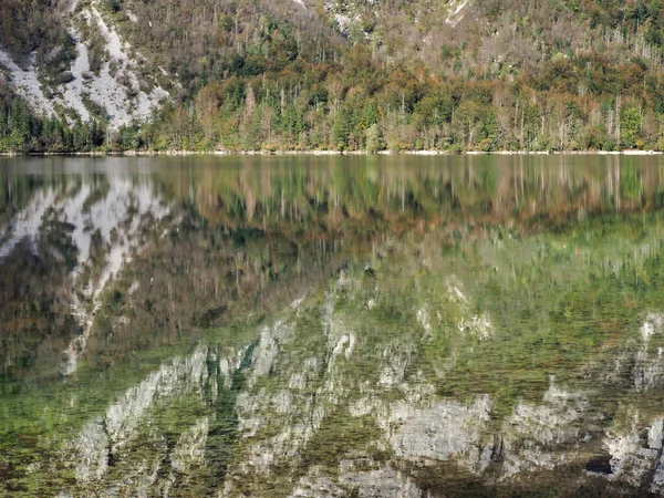 Schöne Aussicht Auf Die Felsspiegelung See Triglav Nationalpark Bohinjsko Slowenien — Stockfoto