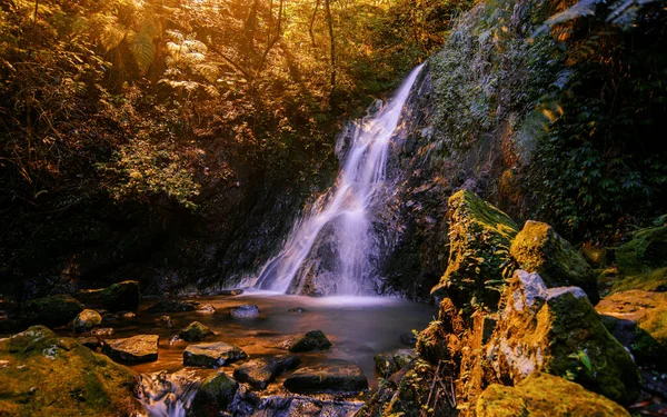 Belo Dia Floresta Com Uma Cachoeira Cercada Por Vegetação Exuberante — Fotografia de Stock