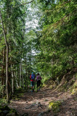 Ormanda yürüyen insanlar